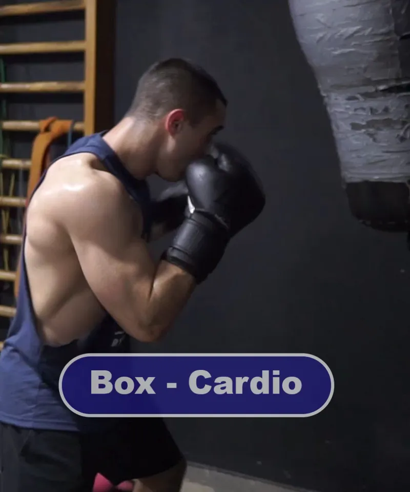 Cardio box workout