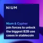 Inflection point: Nium and Cypher join forces to unlock the biggest B2B use cases in stablecoin 